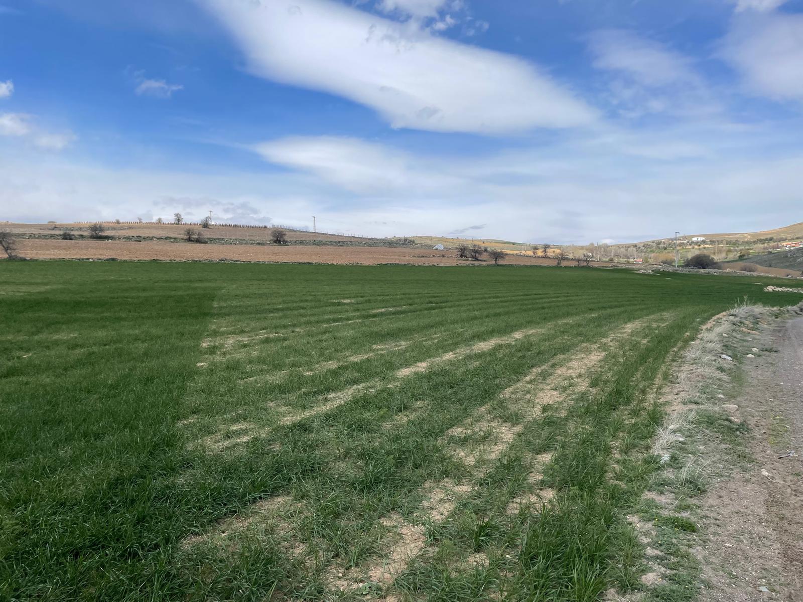 WhatsApp Image 2025-08-29 at 00.29.04 (1)