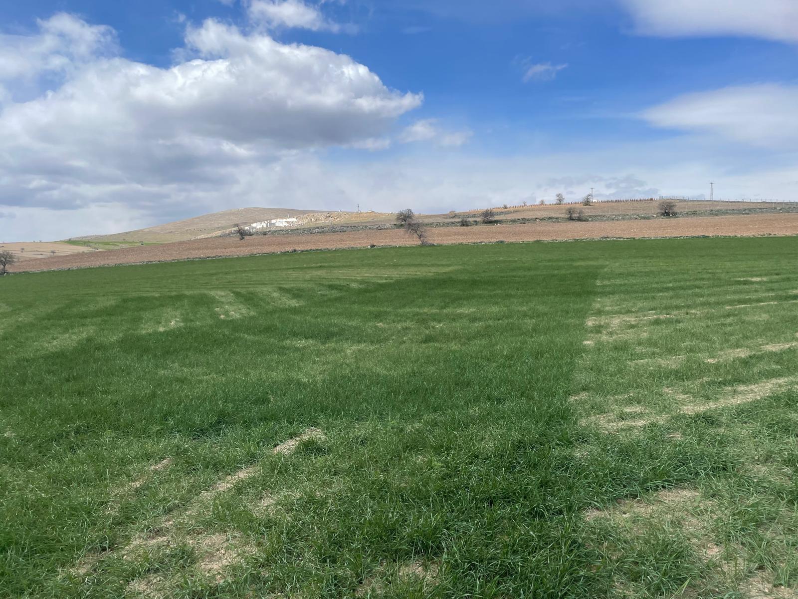 WhatsApp Image 2025-08-29 at 00.29.05 (1)