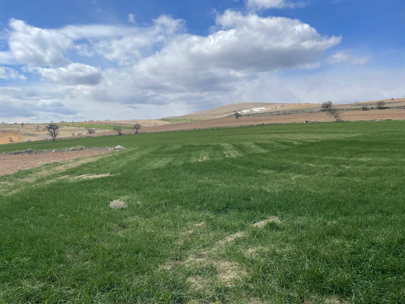 WhatsApp Image 2025-08-29 at 00.29.05 (2)