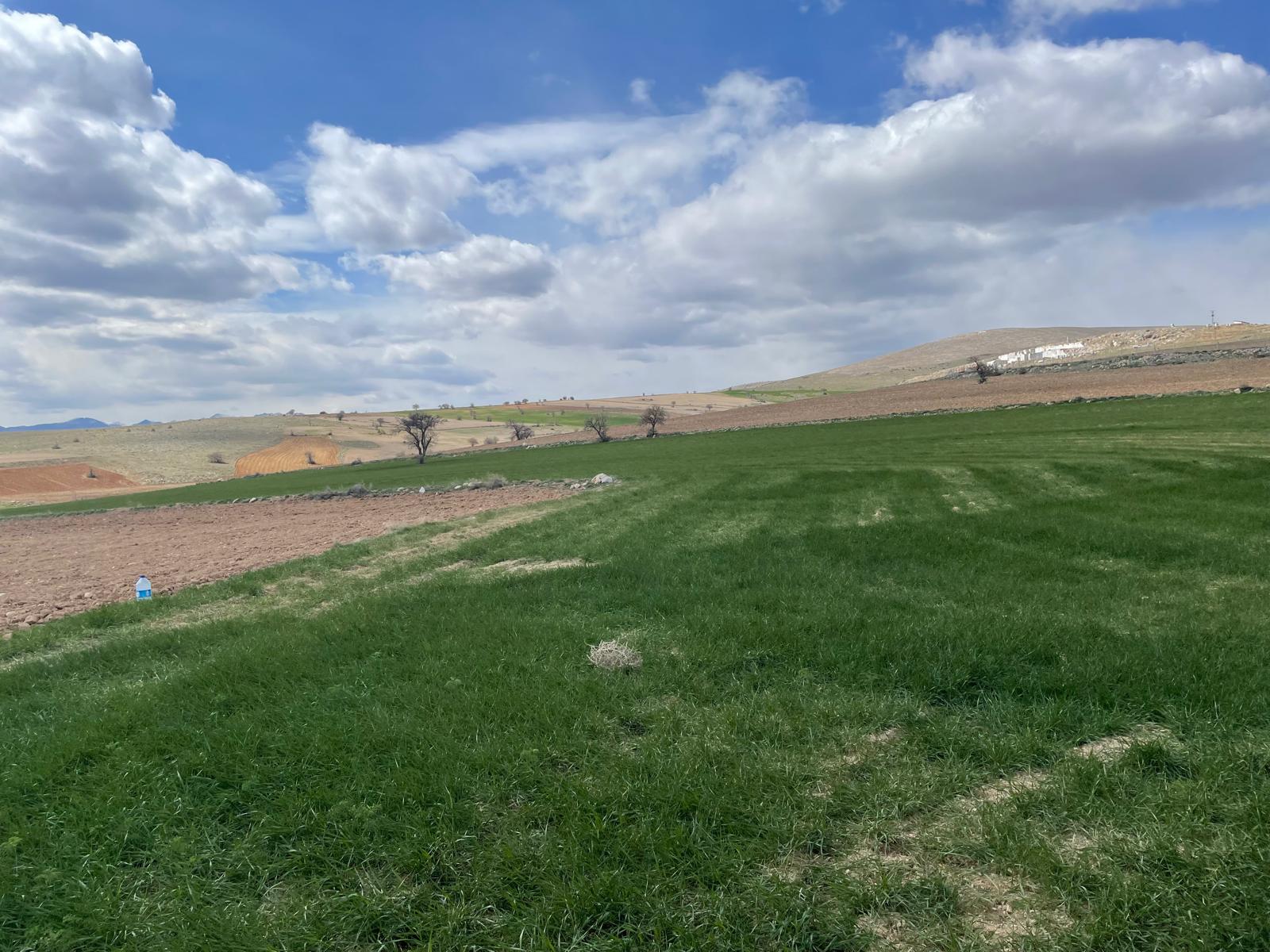 WhatsApp Image 2025-08-29 at 00.29.05 (3)