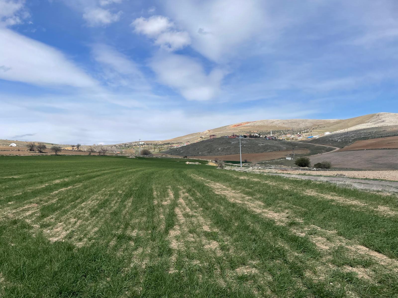 WhatsApp Image 2025-08-29 at 00.29.05 (4)